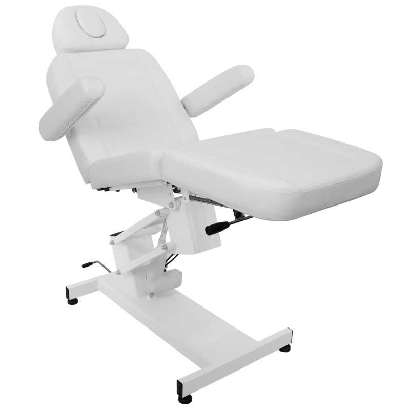 Professional electric chairwith 1 motor-0109098 CHAIRS WITH ELECTRIC LIFT