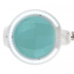 LED magnifying lamp on tripod moonlight 8Watt - 0114954 LIGHTED MAGNIFYING LAMPS