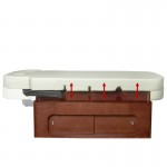 Professional electric aesthetic & massage bed - 0119179 ELECTRIC BEDS