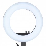 Led ring lamp light 18 48w - 0119781 