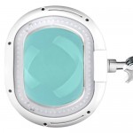 LED magnifying lamp on tripod 10watt - 0123746 LIGHTED MAGNIFYING LAMPS