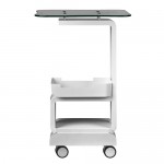 Professional wheeled aesthetic assistant - 0123810 HELPING CABINETS