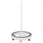 Elegant High Quality  wheeled  LED Lamp with intensity  Control and Color Adjustment - 0124718 