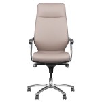 Luxury aesthetic chair - 0126327 