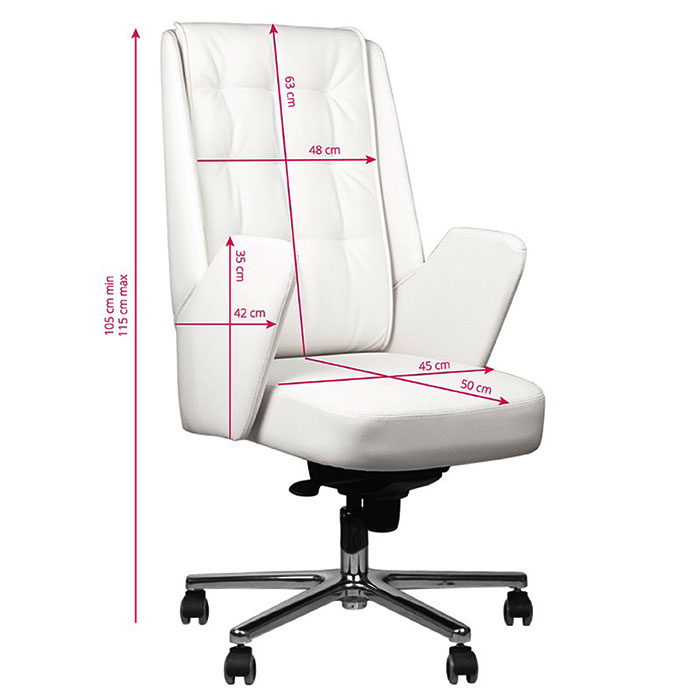 Luxury aesthetic chair - 0126337 