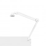 ECO LED High Quality working lamp with vise and permanent White lighting - 0128455 