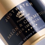 Hair salon sprayer Champagne Gold 350ml - 0136901 ACCESSORIES - WORK PRODUCTS - HAIR COLOUR ACCESORIES 