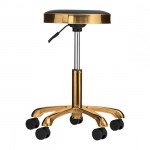 Nordic Style Luxury Gold Beauty Stool Black - 0137111 STOOLS WITHOUT BACK