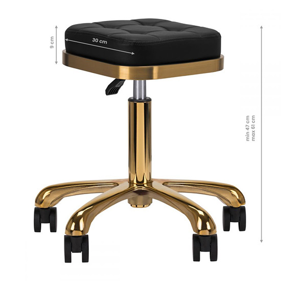 Nordic Style Luxury Gold Beauty Stool Black - 0137482 STOOLS WITHOUT BACK