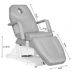  Professional electric chair with 1 motor Gray - 0137568 CHAIRS WITH ELECTRIC LIFT