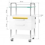 Wheeled aesthetic-podiatry assistant 6052T - 0138011 HELPING CABINETS