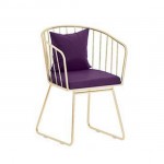 Nordic Style Luxury Salon Chair - 6980130 NORDIC STYLE COLLECTION
