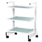 Professional wheeled aesthetic assistant - 0122616 HELPING CABINETS