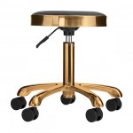 Nordic Style Luxury Gold Beauty Stool Black - 0137111 STOOLS WITHOUT BACK