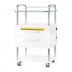 Wheeled aesthetic-podiatry assistant 6052T - 0138011 HELPING CABINETS