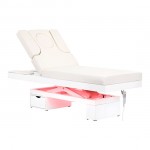 Professional electric aesthetic & massage bed - 0113116 ELECTRIC BEDS