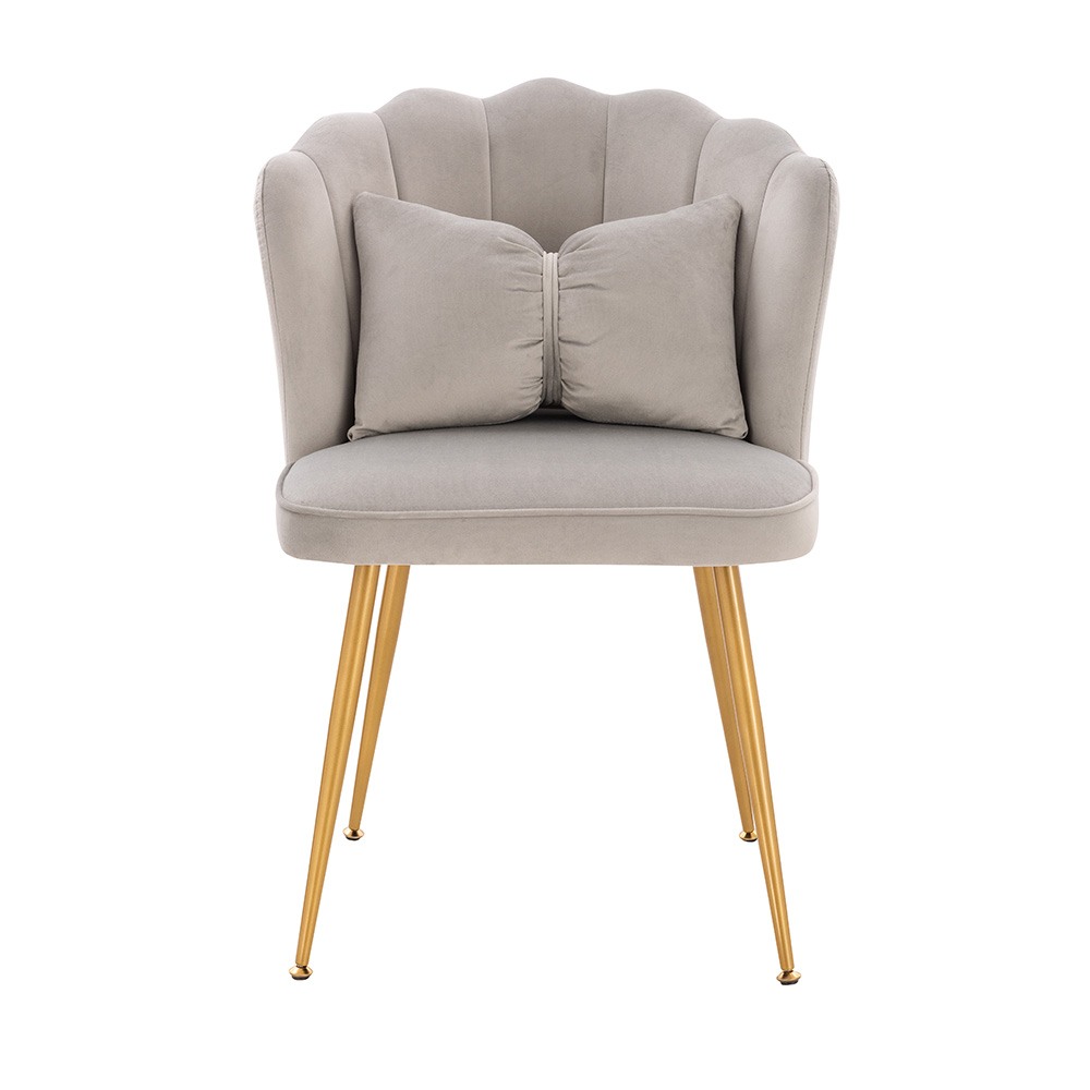 Stylish Beauty Chair Velvet Light Grey Gold-5470271