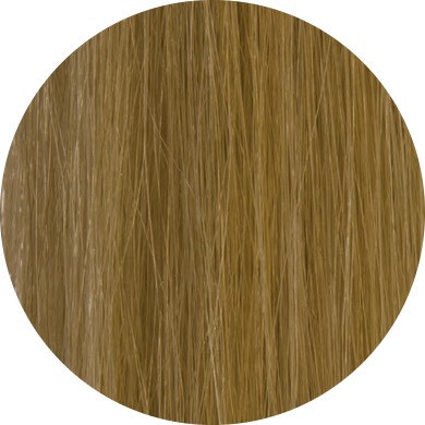  Labor Pro Hair thickening fibers dark blonde E661BS-9510199 