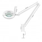 LED lamp with Adjustment of light intensity and color,white - 0141606