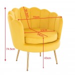 Shell Luxury Chair Velvet Yellow Gold-5470257 KING & QUEEN FURNITURE