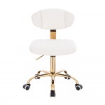 Privilege hair salon stool White Gold PU-5420199