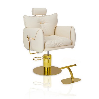 Privilege hair salon chair Pink Gold-6991218